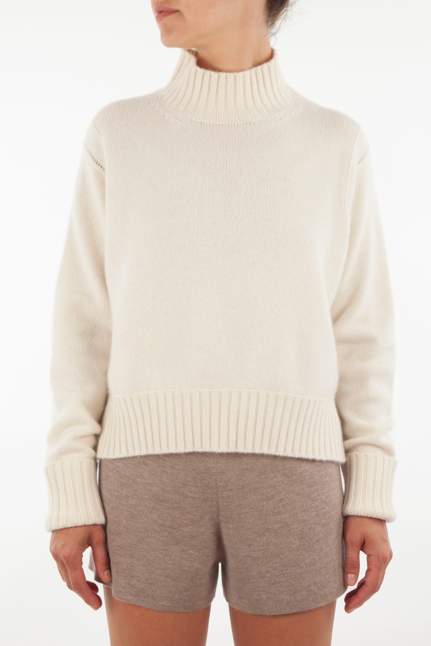 Turtle Neck Cashmere Sweater